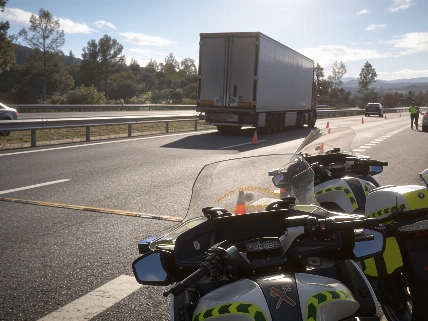 Man dies after motorcycle hits goat in Granada RUSSPAIN.com