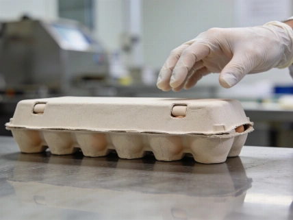 Report ties Spanish egg withdrawal to Salmonella outbreak RUSSPAIN.com