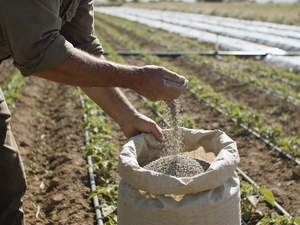 Asaja plans two-week farmers’ camp outside Spain’s agriculture ministry RUSSPAIN.com