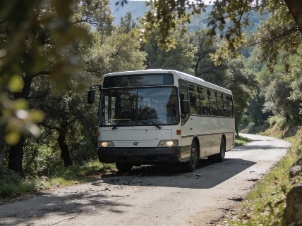 Seven seriously injured in Fogars de Montclús bus crash RUSSPAIN.com