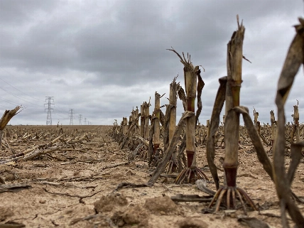 Barcelona faces flood threat as Besòs river surges RUSSPAIN.com