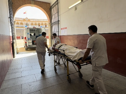 Serrano suffers serious cornada during Las Ventas solo RUSSPAIN.com