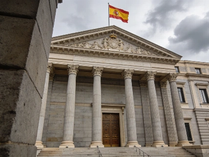 Ferraz overrides Palencia members’ choice for PSOE candidate RUSSPAIN.com