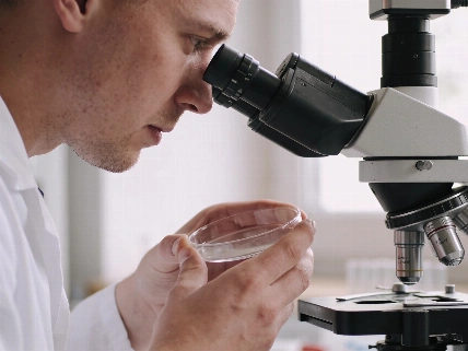 CNIO finds a drug target in early brain metastases RUSSPAIN.com