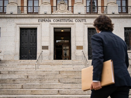 Constitutional Court weighs voting appeal for Ley de nietos beneficiaries RUSSPAIN.com