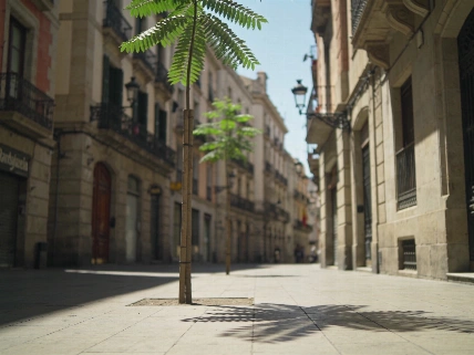 Climate change drove 77% of heat deaths in Spanish cities RUSSPAIN.com