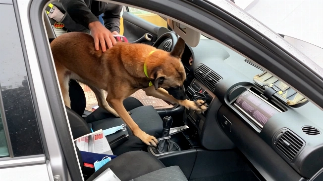 Hidden compartments in cars fuel cocaine routes from Andalucía to Europe RUSSPAIN.com