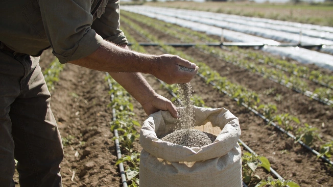 Asaja plans two-week farmers’ camp outside Spain’s agriculture ministry RUSSPAIN.com