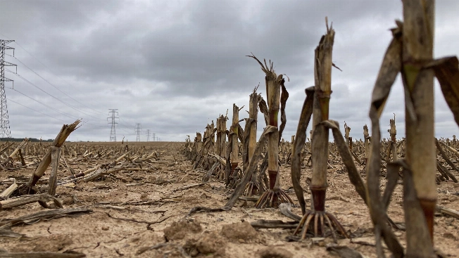 Barcelona faces flood threat as Besòs river surges RUSSPAIN.com