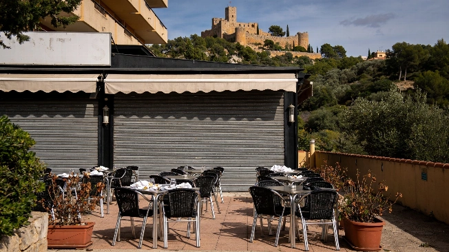 Catalonia Expands Financial Aid to Businesses Hit by Swine Fever Controls RUSSPAIN.com