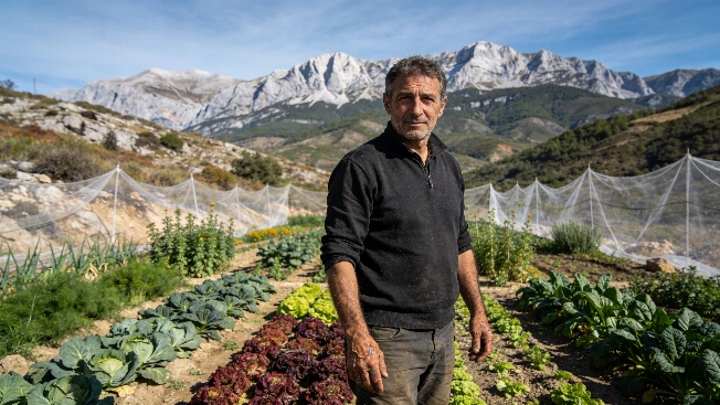 Madrid Farmer Turns Down €700,000 Offer for Organic Mountain Farm RUSSPAIN.com