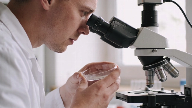 CNIO finds a drug target in early brain metastases RUSSPAIN.com