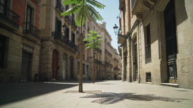 Climate change drove 77% of heat deaths in Spanish cities RUSSPAIN.com
