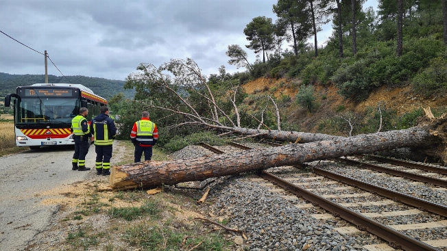 Train Service Halted Between Vic and Manlleu After Fallen Tree Blocks R3 Line RUSSPAIN.com