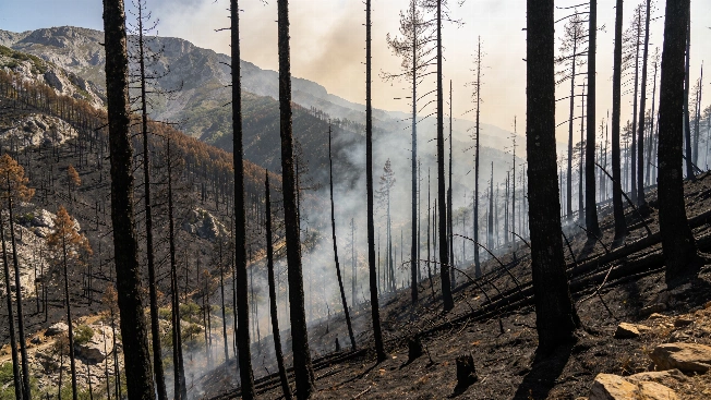 Wildfire Near Derio Sparks Emergency Response Close to Loiu Airport RUSSPAIN.com