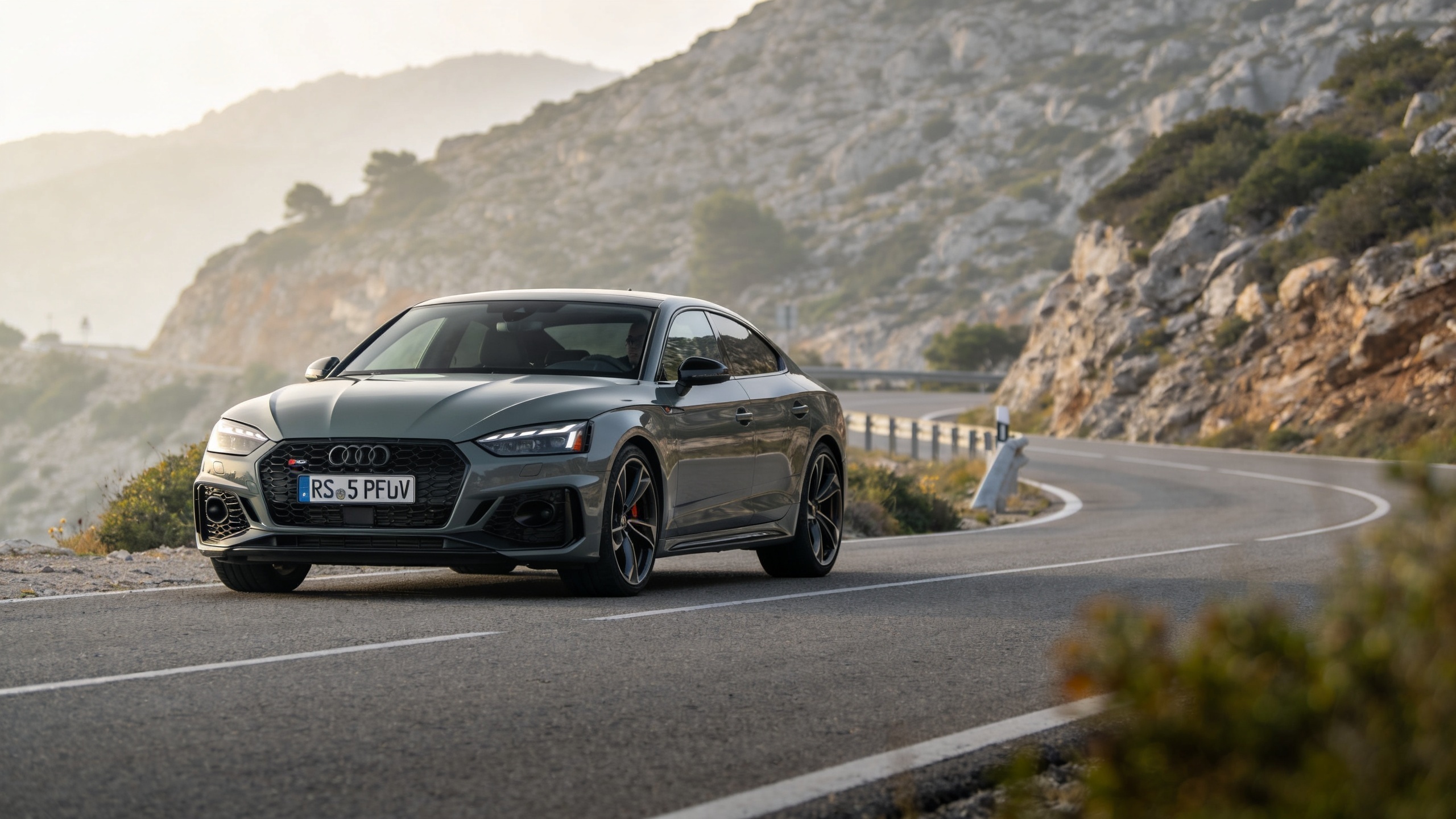 The new Audi RS 5 PHEV features a unique torque vectoring system RUSSPAIN.com