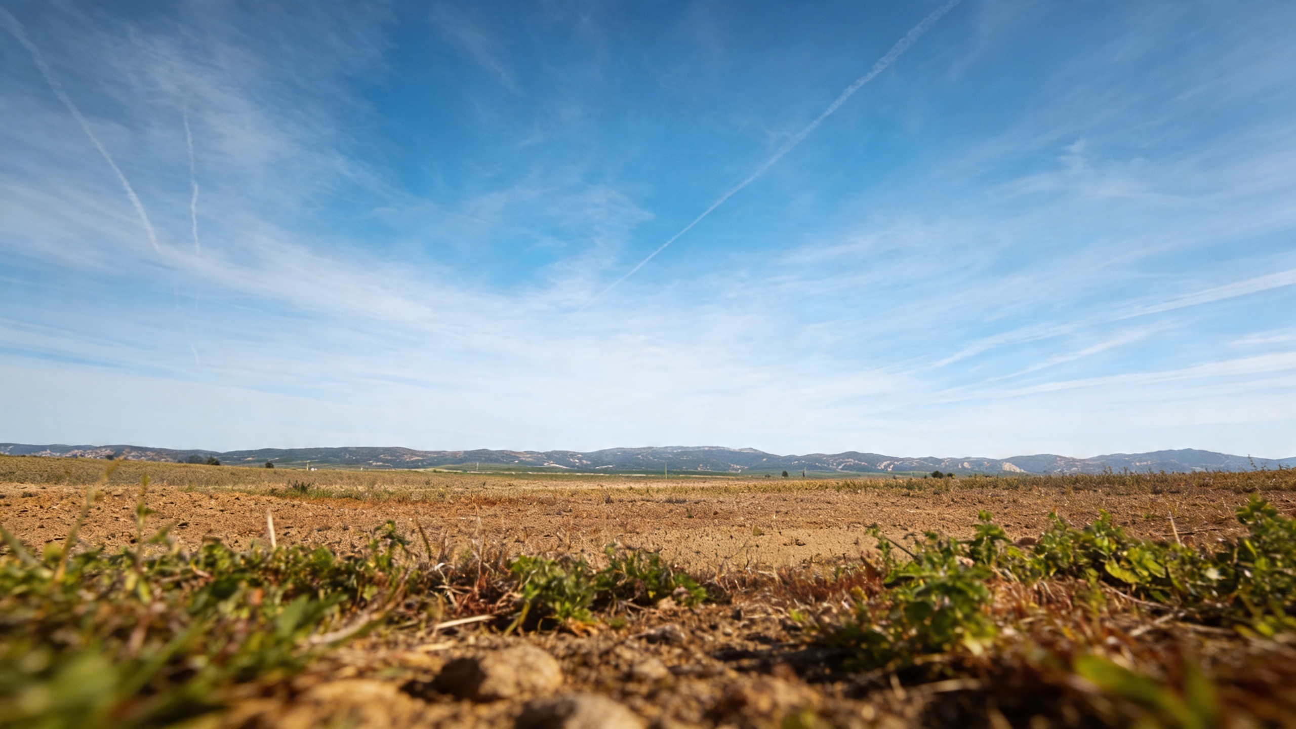 Spain's largest lagoon in Cádiz is drained again despite full reservoirs RUSSPAIN.com