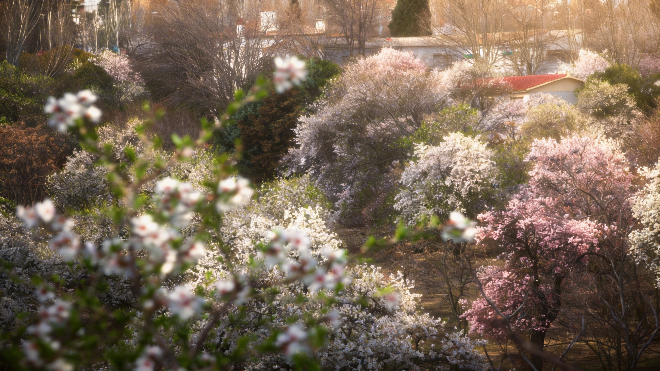 Madrid authorities weigh the future of an 18th-century estate RUSSPAIN.com