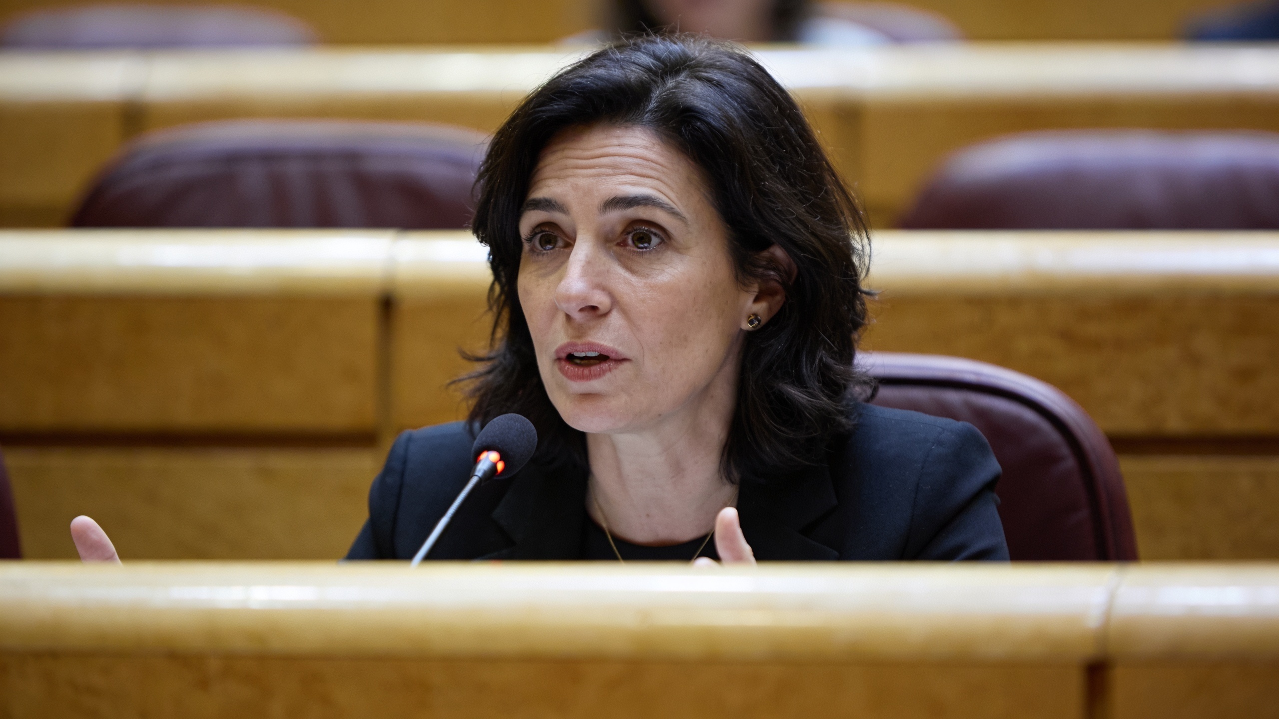 Congress questions Vilaplana about meeting with Mazón on the day of the disaster RUSSPAIN.com