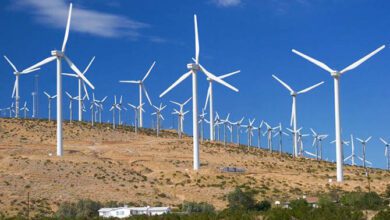 Деньги на ветер: почему Европа отказывается от ветрогенерации