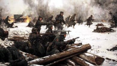 Испанская "Голубая дивизия"