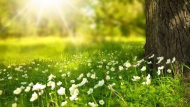 El equinoccio de primavera es un fenómeno astronómico