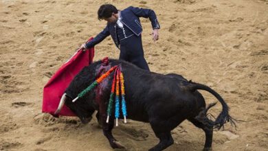 Тореадор во время корриды на карнавале быков в Сьюдад-Родриго