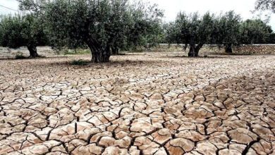 Средняя температура в Испании за последние 50 лет выросла на 1,6°C