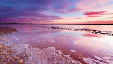 За купание в "целебных" озёрах Ла-Маты - Торревьехи будет штраф 600 евро