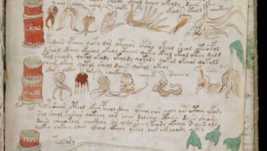 Версия: "Шифрованный" манускрипт оказался древним языком испанцев.