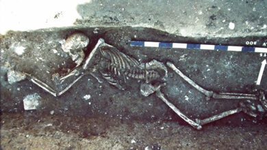 Скелет одной из жертв древней чумы, найденный на юге Франции