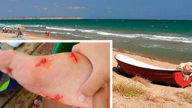 Купаться на испанских пляжах опасно. На людей нападают морские чудища