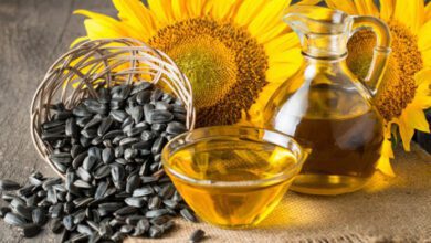 Украина продала за границу подсолнечного масла на $2,2 млрд Источник фото: umnaja.ru