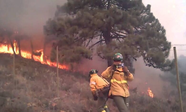 В Евросоюзе на фоне роста пожаров сокращают пожарных. Испания — исключение: их стало больше на 617 человек