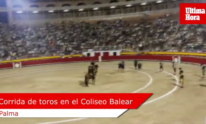 Запретят ли корриду в Испании. Похоже, что ДА, но это будет не скоро