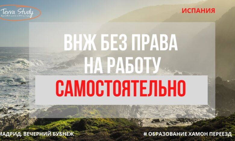 Борис Соколов: Видео. ВНЖ без права на работу