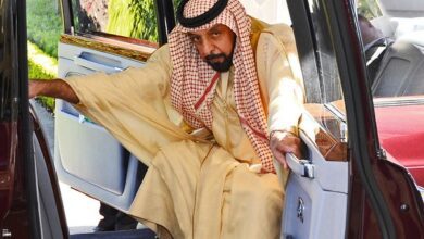 Шейх Халифа Аль Нахайян