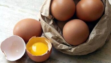 Куриные яйца