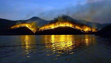 Канары. Лесной пожар.