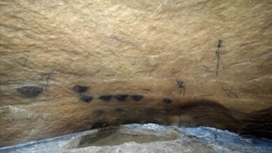 Наскальные рисунки в пещере Испании оказались древнее, чем считалось