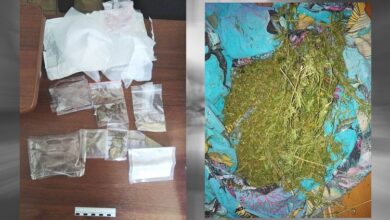 Жительница Балашова заказала по почте наркотики из Испании