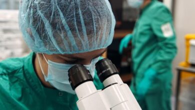 Наука. Анализ.