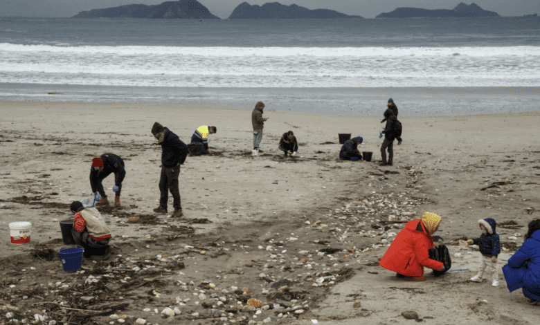 На испанских пляжах стали собирать пластиковые гранулы