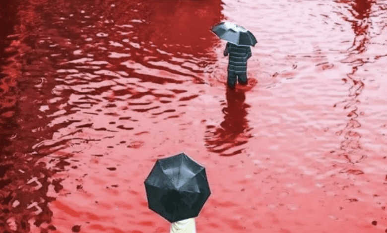 Туристов предупредили о «кровавом дожде» в Испании