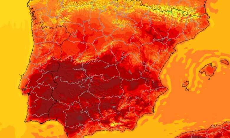 Температура поднимется до 40 градусов во многих регионах страны