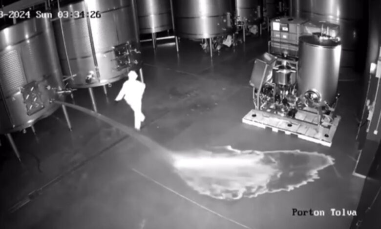 В Вальядолиде арестовали женщину, вылившую 60 тысяч литров вина