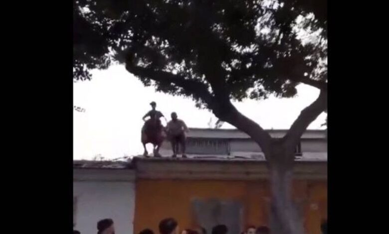 Жители Барселоны вступили в бой с ворами прямо на крыше