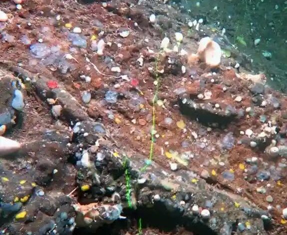 Около Лансароте нашли древний затонувший архипелаг с вулканами