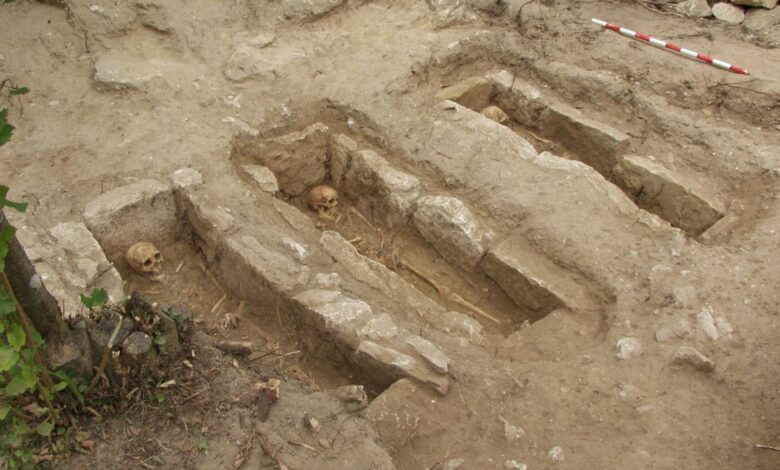 В Бургосе нашли древнейшую оспу в Европе