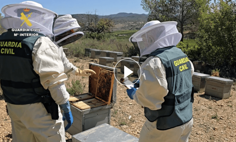 Испанская полиция раскрыла сеть по продаже китайского заражённого меда